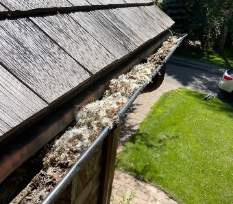 Gutter clogged with moss before cleaning
